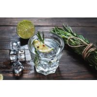 Gin-Tasting Salzburg Ohne gin kein Sinn