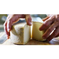 Käse-Seminar Salzburg: italienischer Hartkäse