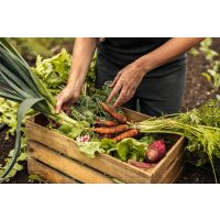 Kochkurs Salzburg – Ernte