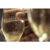 Schaumwein-Tasting Salzburg – Perlen im Sektglas