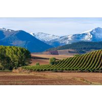 Wein-Tasting Salzburg – Weingegend in Spanien