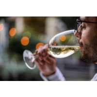 Wein-Tasting Salzburg – Weißwein probieren