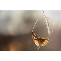 Weinprobe Salzburg – Chardonnay