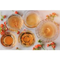 Weinprobe Salzburg – verschiedene Weinfarben