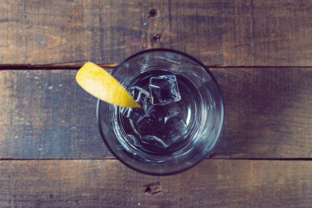 Gutschein Gin-Tasting – Gin Tonic mit Zitrone und Eiswürfeln