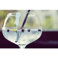 Gin-Tasting-Gutschein – Bombay Gin mit Wacholderbeeren